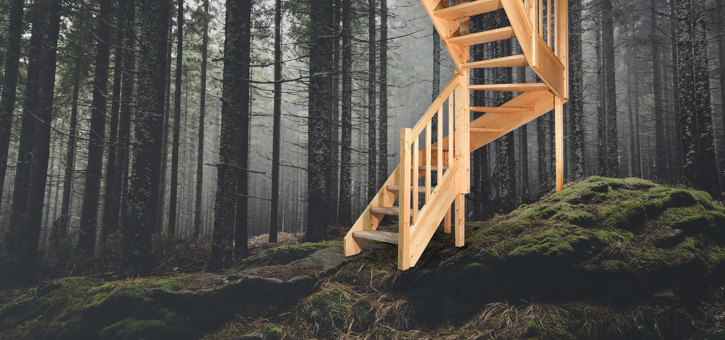 Schody Bystrý image background smrkové schody v lese